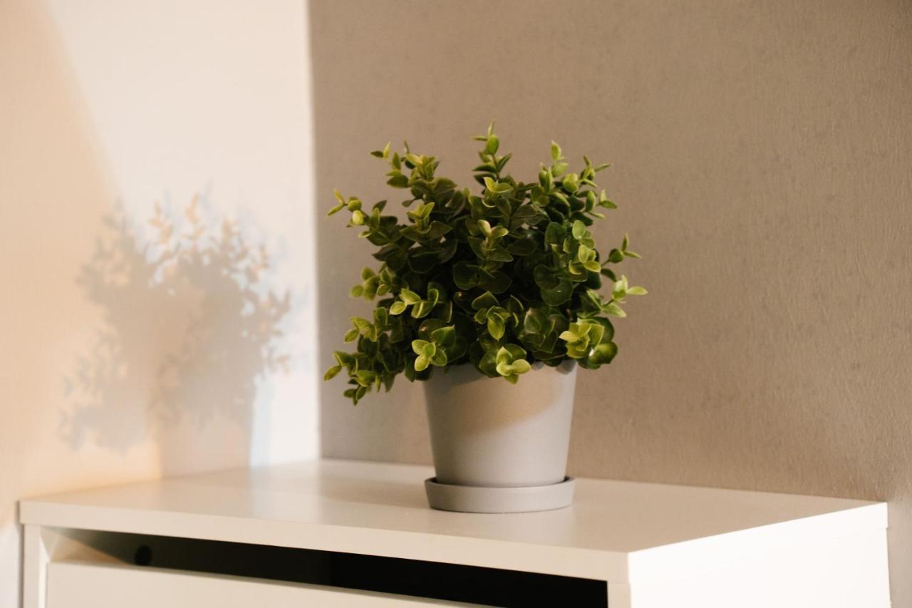 טוקיו Fl Residence Shinjyuku I מראה חיצוני תמונה